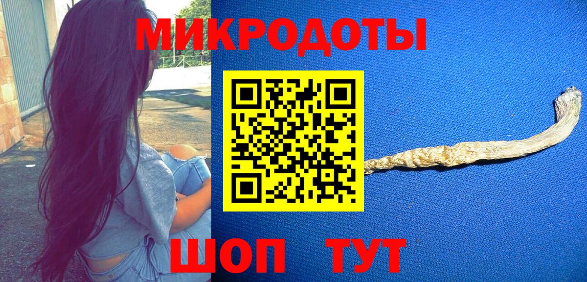 Псилоцибиновые грибы Psilocybine cubensis Пугачёв