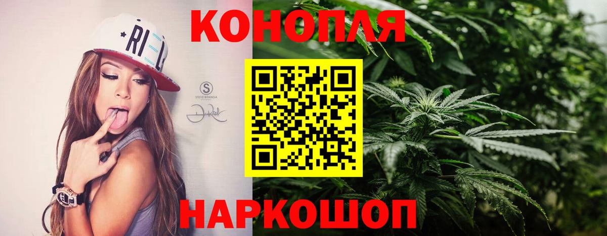 Пугачёв  Конопля MAZAR  Каннабис конопля  Вход с VPN 